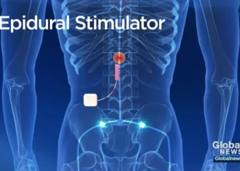New simulation method enables prediction of promising treatments for spinal cord injury without requiring experimentation in patients.