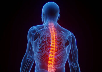 The ‘enveloping’ implants represent a new approach to treat spinal cord injuries