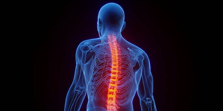 The ‘enveloping’ implants represent a new approach to treat spinal cord injuries