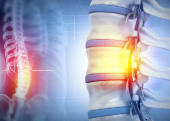 Regenerative Medicine: Israel will launch the first human spinal cord transplantation in the world using patient cells themselves