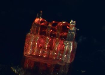 The injured spinal marulas repaired with the advance of ‘scaffolding