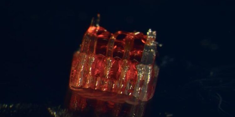 The injured spinal marulas repaired with the advance of ‘scaffolding