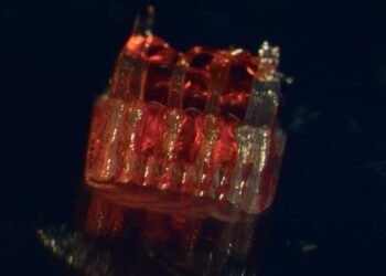 3D printing that offers hope for spinal cord injuries – News -graphic.com