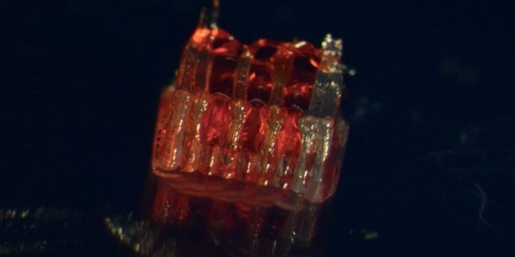 3D printing that offers hope for spinal cord injuries – News -graphic.com