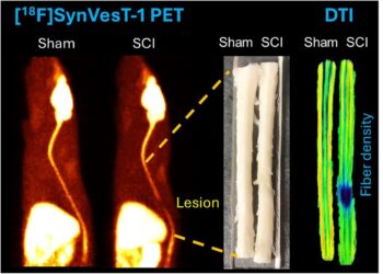 New research shows that the novel pet plotr