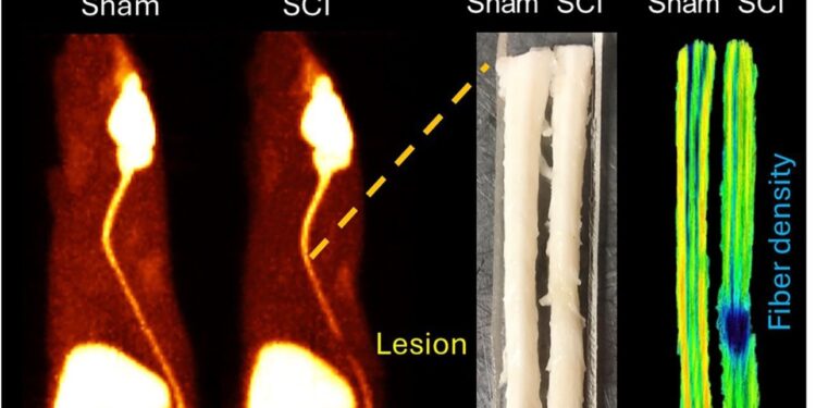 New research shows that the novel pet plotr