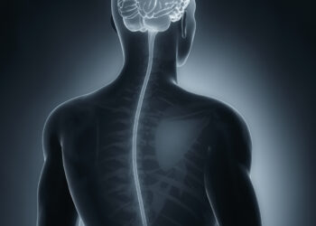 New imaging approach may improve spinal cord injury treatment