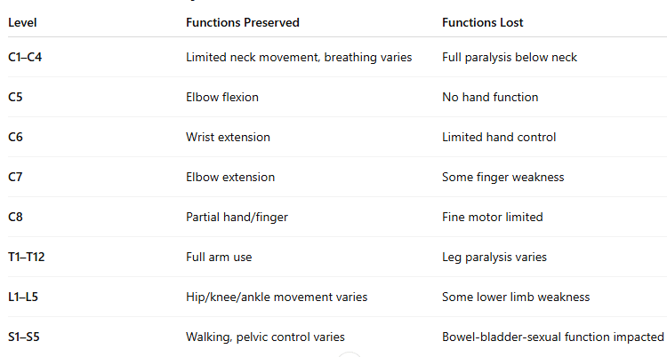 Spinal cord injury Chart