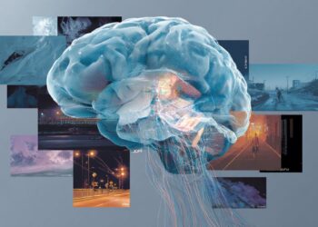 AI brain model reveals how fear works in real life