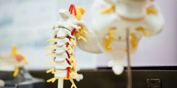 Astrocytes are ‘critical responders’ to spinal cord injury