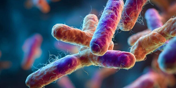 Do your oral bacteria influence multiple sclerosis? Do your oral bacteria influence multiple sclerosis?