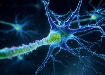 Engineered protein reveals hidden incoming signals between neurons
