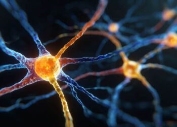 Two subtypes of dopamine neurons process smell in different ways