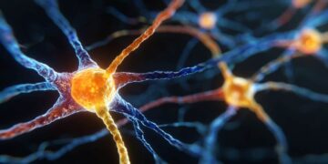 Two subtypes of dopamine neurons process smell in different ways