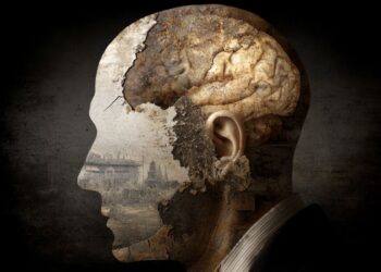 Why memories change: how the brain rewrites the past