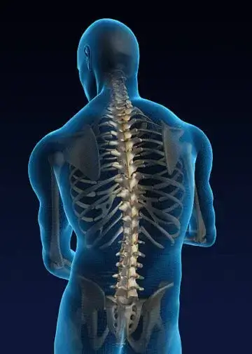 Spinal-Cord-Iinjury image
